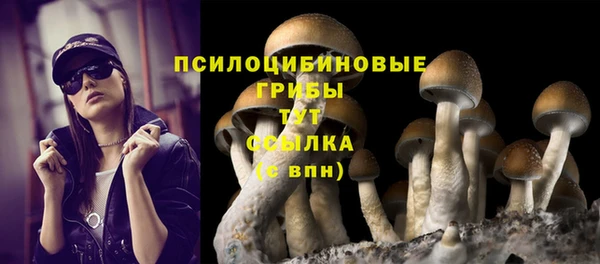 ГАЛЛЮЦИНОГЕННЫЕ ГРИБЫ Богданович