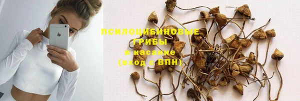 ГАЛЛЮЦИНОГЕННЫЕ ГРИБЫ Богданович