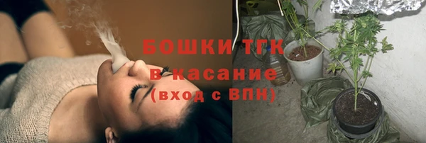 ГАЛЛЮЦИНОГЕННЫЕ ГРИБЫ Богданович