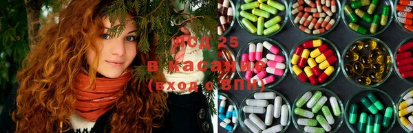 ГАЛЛЮЦИНОГЕННЫЕ ГРИБЫ Богданович